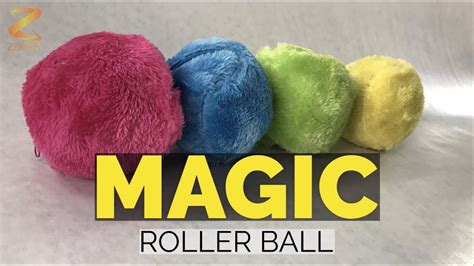 Magic roller balp for dogs